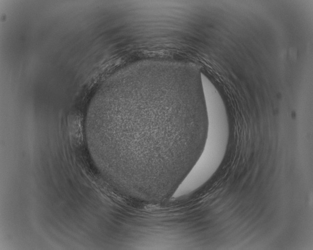 X0000065260699200603031829