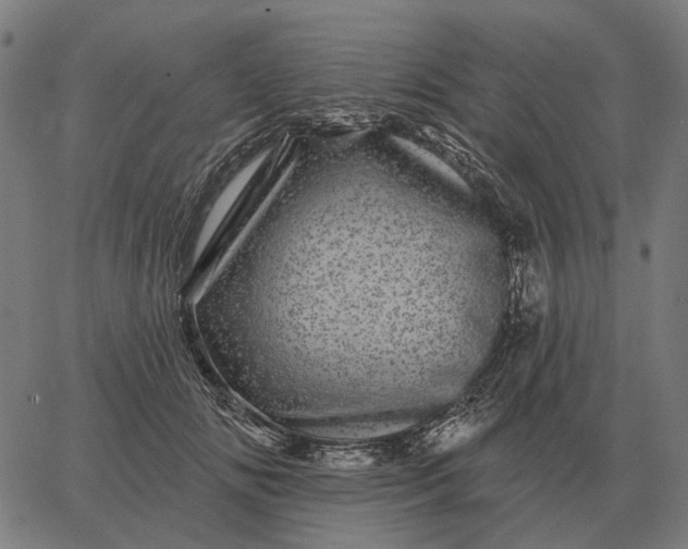 X0000065260702200603031829