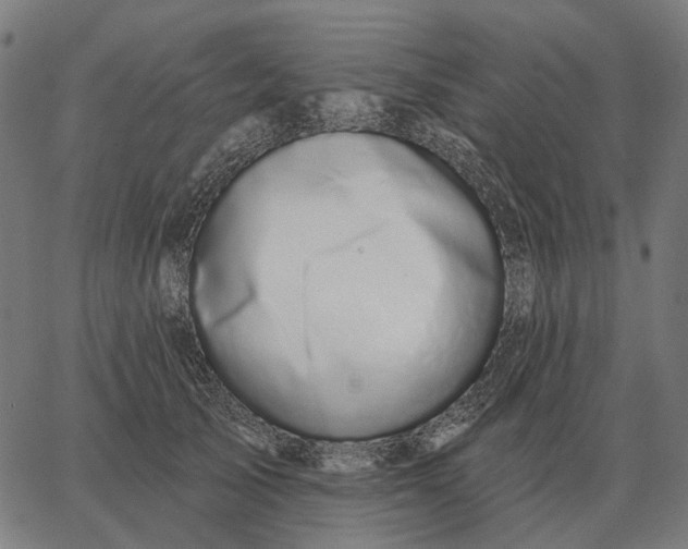 X0000065260705200603031829