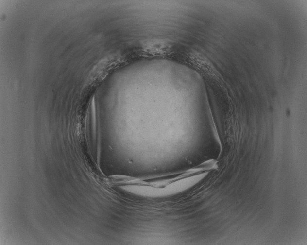 X0000065260706200603031829