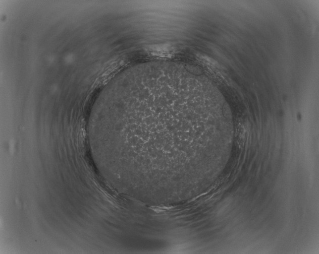 X0000065260707200603031829