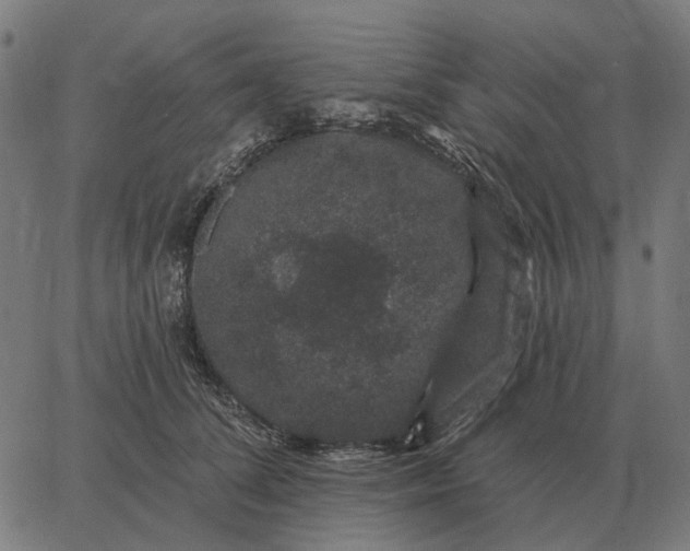 X0000065260708200603031829