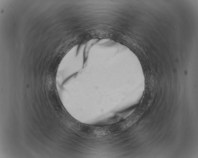 X0000065260709200603031829