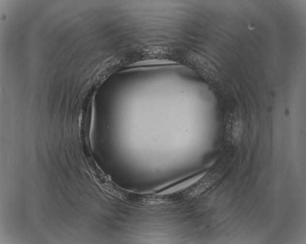 X0000065260710200603031829