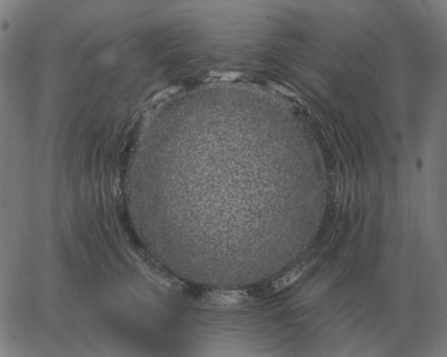 X0000065260711200603031829