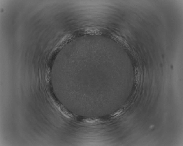 X0000065260712200603031829