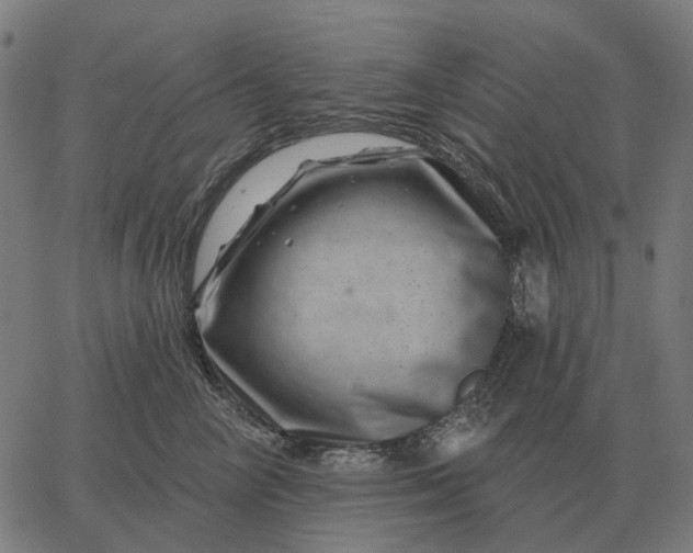 X0000065260714200603031828