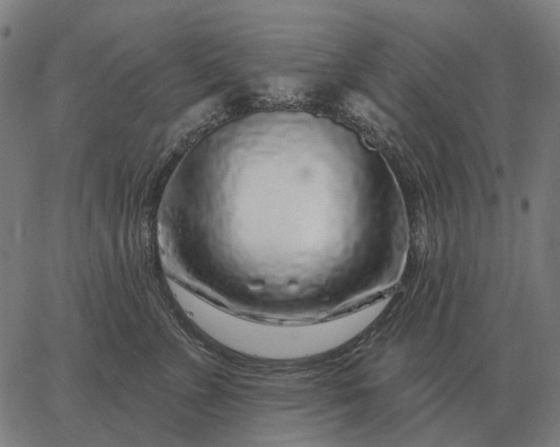 X0000065260715200603031828