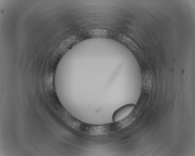 X0000065260717200603031828