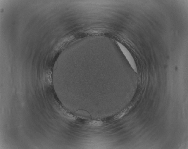 X0000065260718200603031828