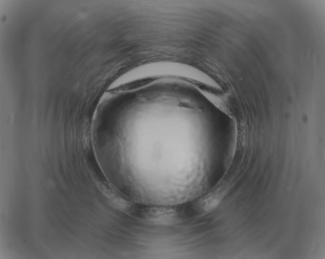 X0000065260719200603031828