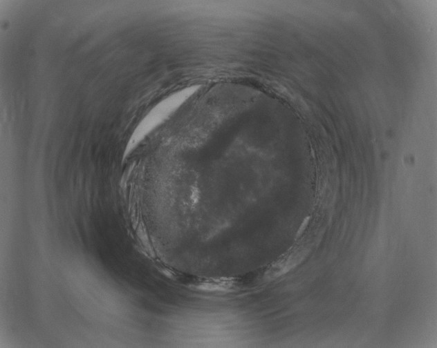 X0000065260720200603031828