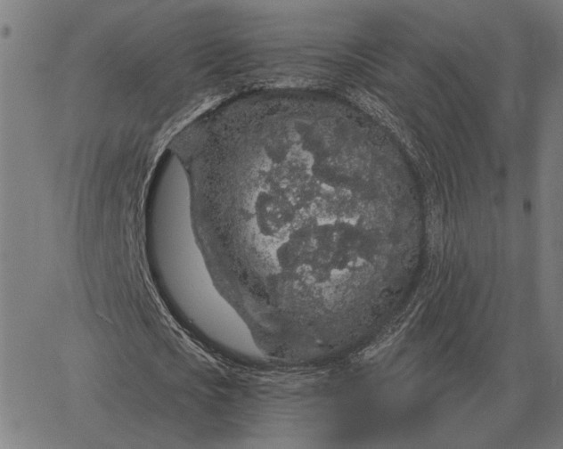 X0000065260721200603031828