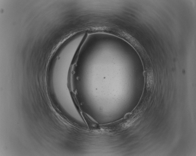 X0000065260722200603031828