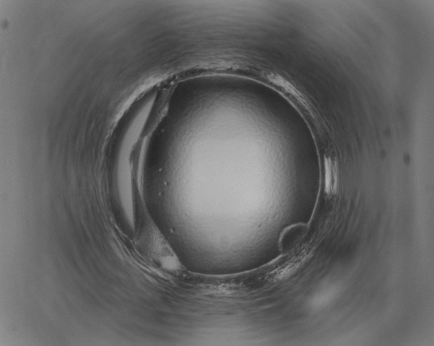 X0000065260723200603031828