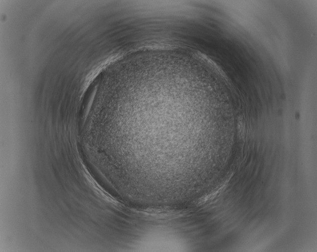 X0000065260725200603031828