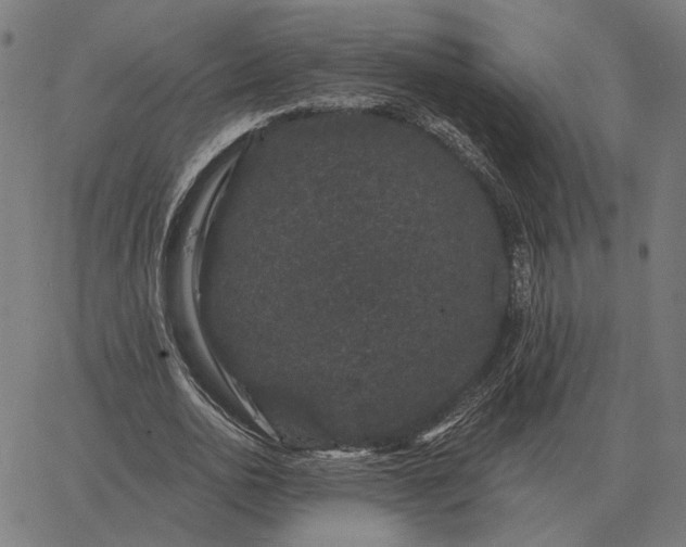 X0000065260726200603031828