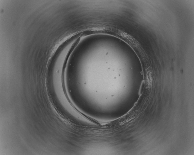 X0000065260728200603031828