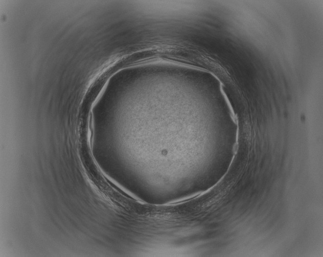 X0000065260730200603031828