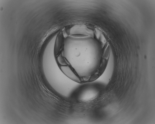 X0000065260731200603031828