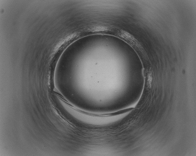 X0000065260732200603031828