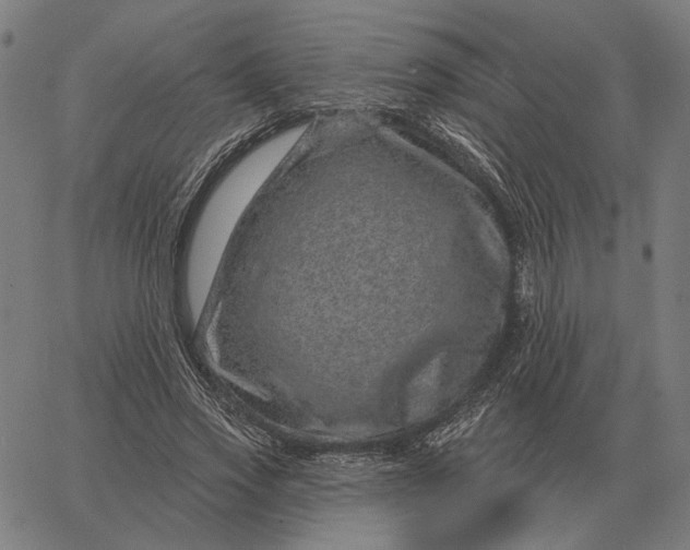 X0000065260733200603031828