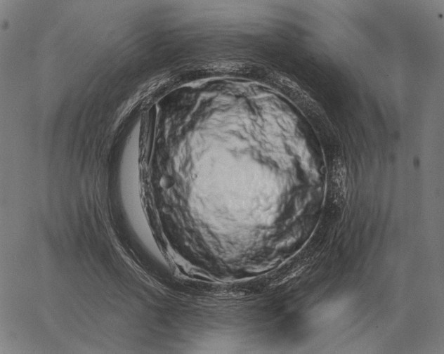 X0000065260734200603031828