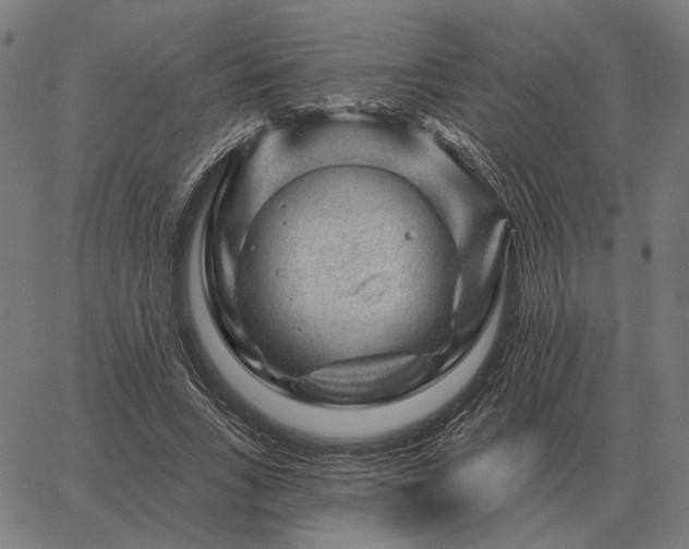 X0000065260735200603031828