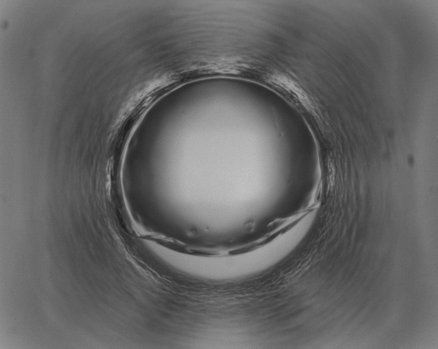 X0000065260736200603031828