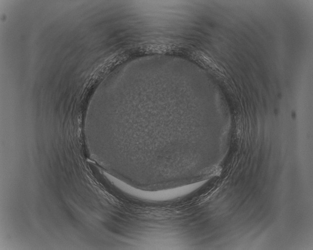 X0000065260737200603031828