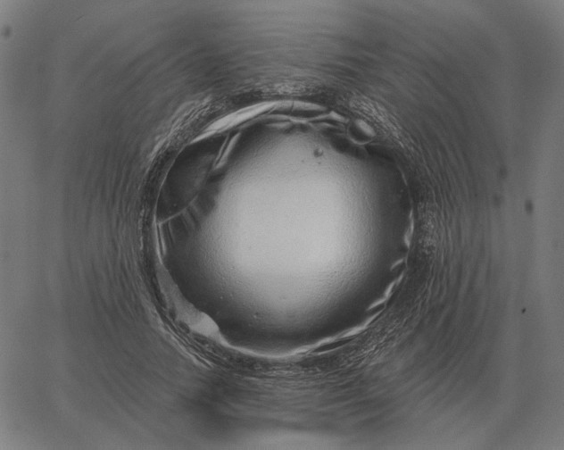 X0000065260738200603031828