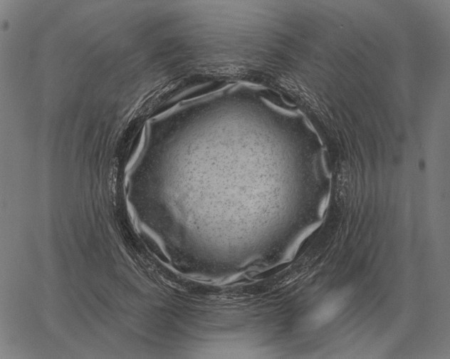 X0000065260739200603031828