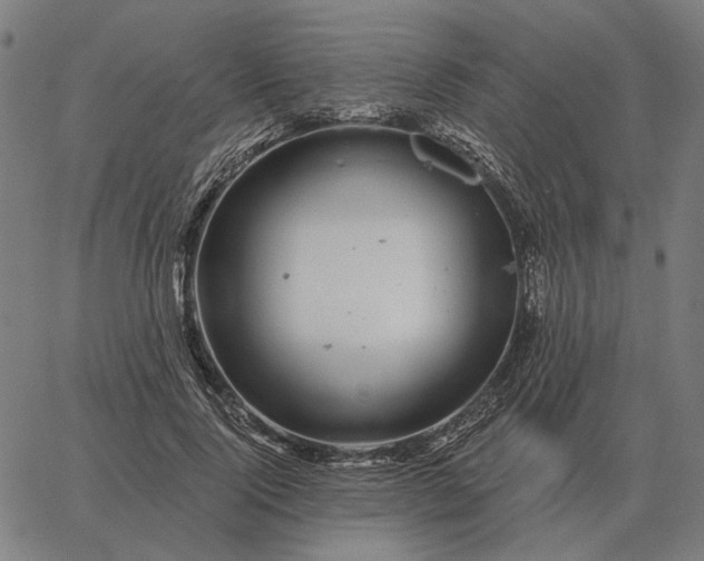 X0000065260740200603031828