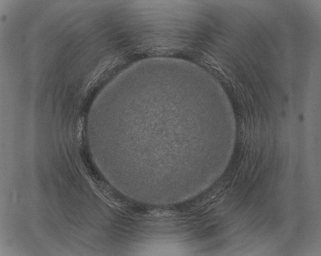 X0000065260742200603031828