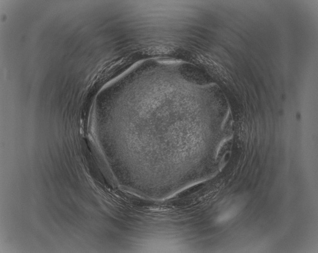 X0000065260743200603031828