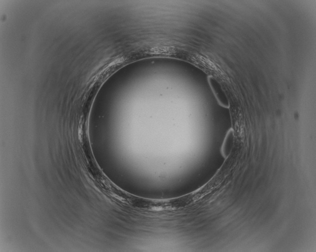 X0000065260744200603031828