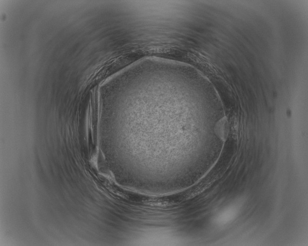 X0000065260746200603031828