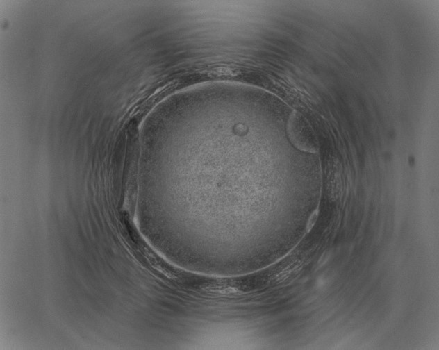 X0000065260747200603031828