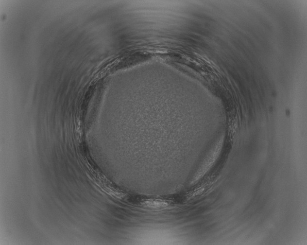 X0000065260749200603031828