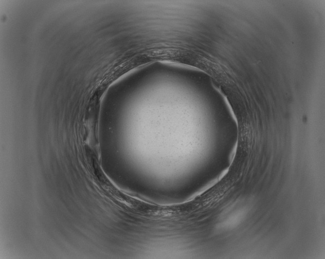 X0000065260751200603031828