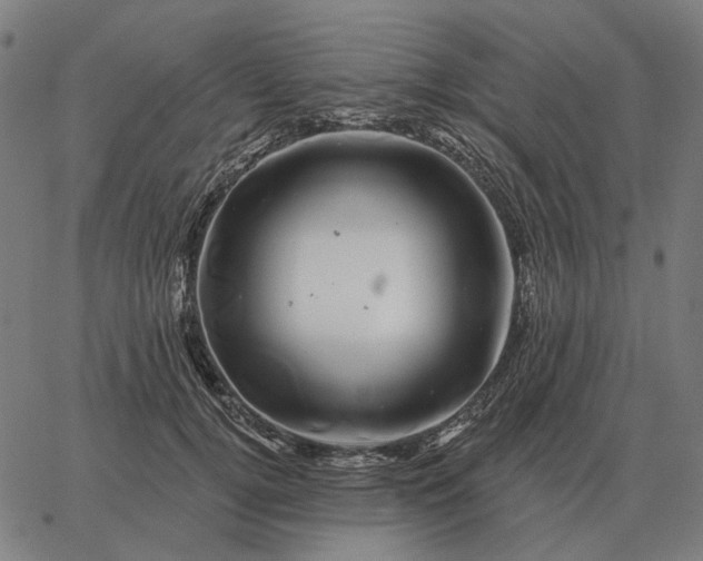 X0000065260752200603031828