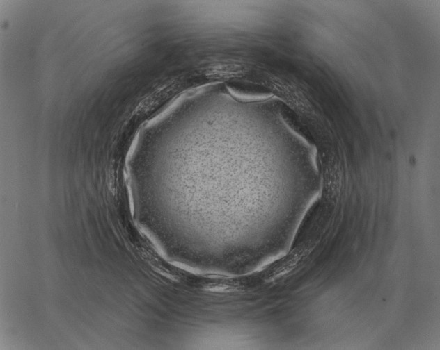 X0000065260755200603031828