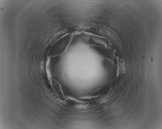 X0000065260756200603031828