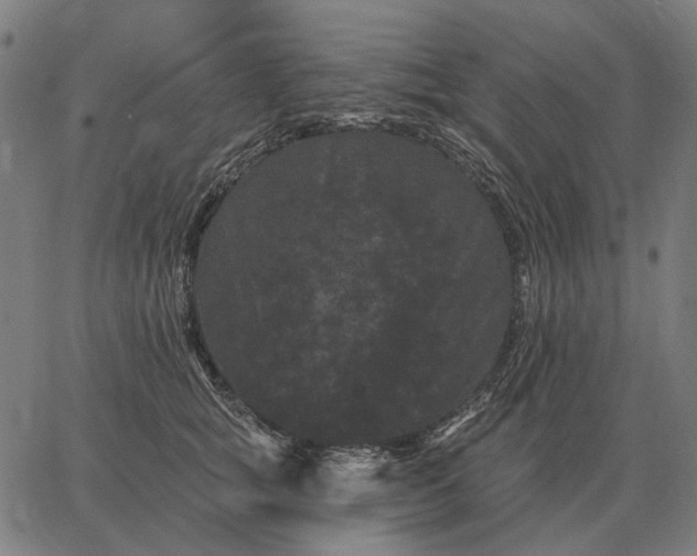 X0000065260757200603031828