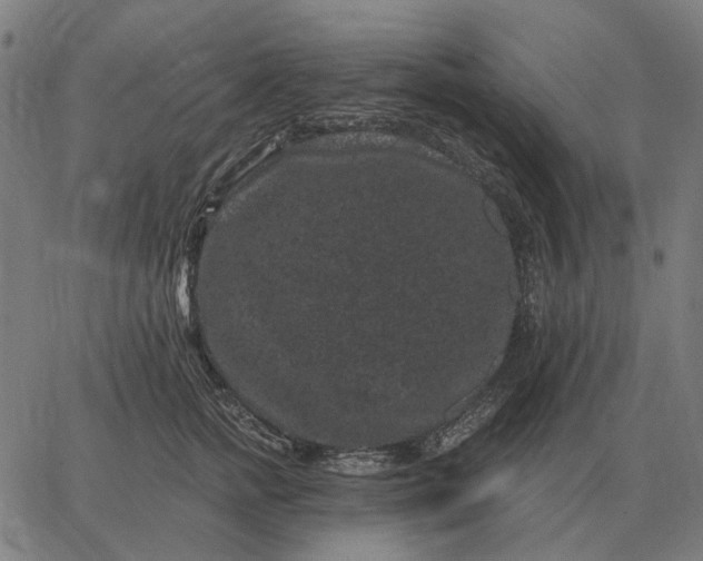 X0000065260758200603031828