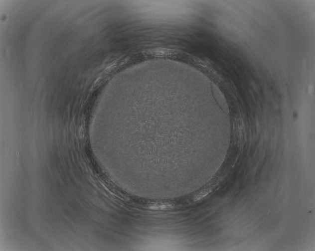 X0000065260760200603031828