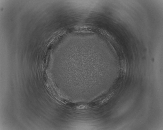 X0000065260761200603031828