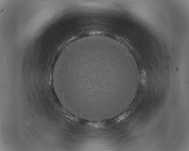 X0000065260763200603031828