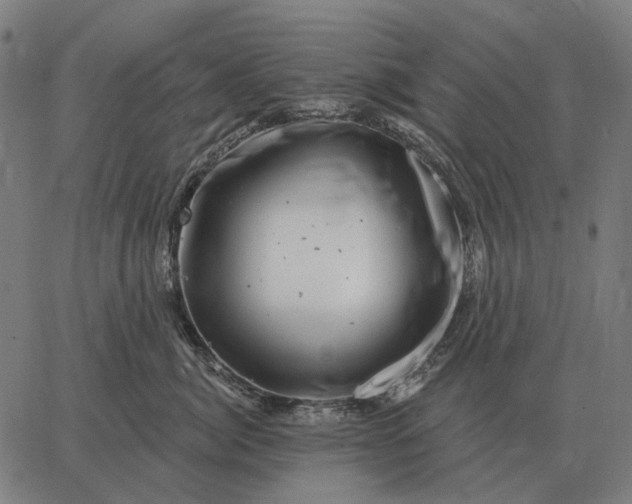 X0000065260764200603031828