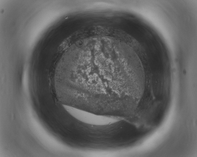 X0000065260765200603031828